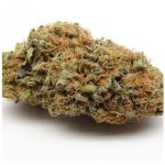 Шишки AK47  (Гидропоника, Бошка) VHQ в Кандалакше